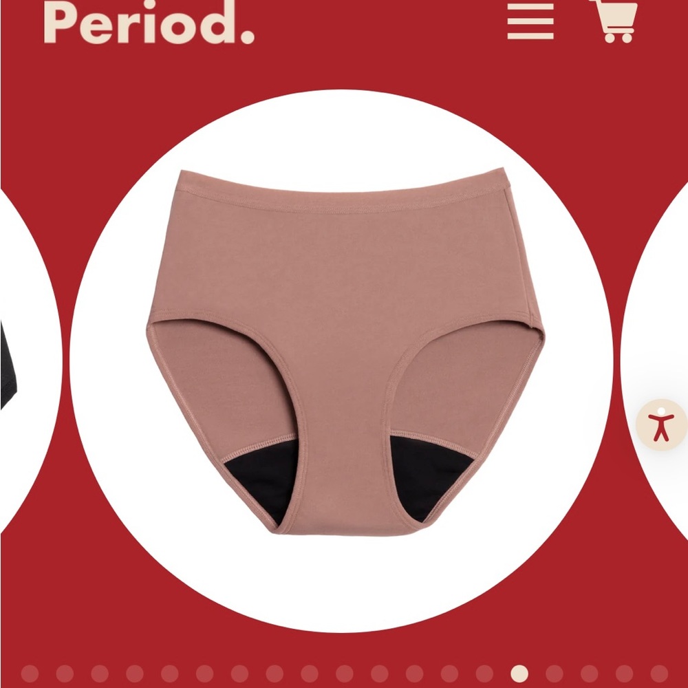 Period Co. The Light Period High Waisted Underwear